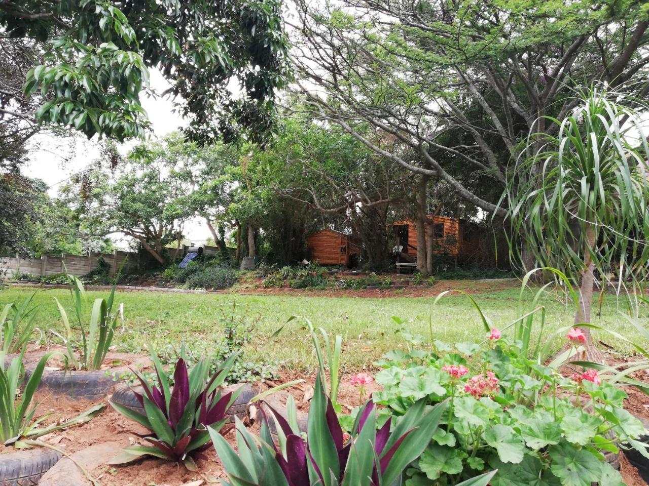 Beach Wood Cottages Shelly Beach Exteriér fotografie