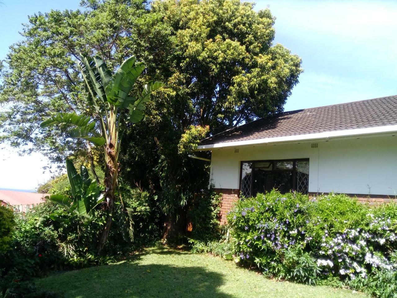 Beach Wood Cottages Shelly Beach Exteriér fotografie