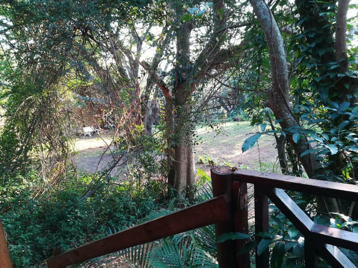 Beach Wood Cottages Shelly Beach Exteriér fotografie